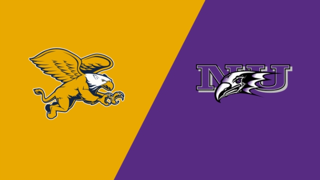 年轻球员融 年轻球员融